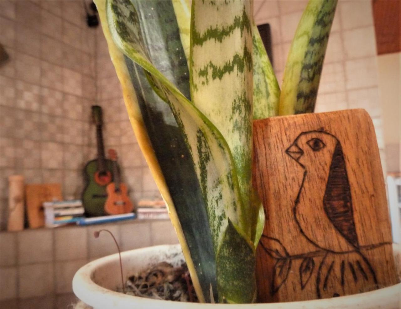 Casa Di Vo Bed and Breakfast Mucugê Εξωτερικό φωτογραφία